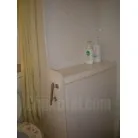 トイレ室シャワー。