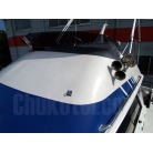 まだまだ艶があります。