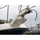 バウのキズ