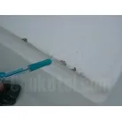 多少のガリ傷が見られますが、気になるレベルではないかと思います。