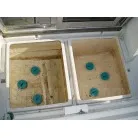 イケスは2つに分割されています。