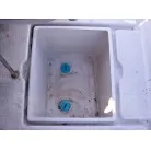 イケス