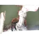 ドライブも半分以上が水面より出ています
