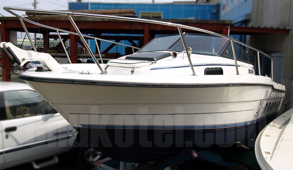 ベイライナー トロフィー2002トロフィー2002 | 【中古艇ドットコム