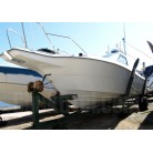 どこにも傷は見当たりませんでした。