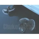 ペラの曲がり