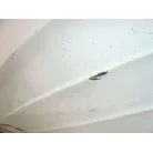 船底塗料のはがれ