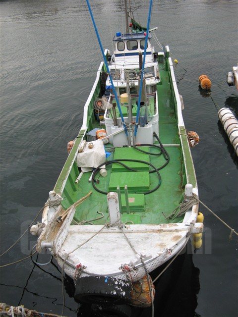 ボート緑値下げしました