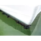 船底の貝類の付着多し