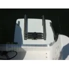 スイミングラダー