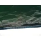 舵部を撮影