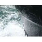 エンジン冷却水 異常なし