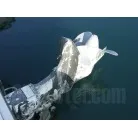 ドライブ、ペラの状態