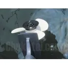 通常より大きい補機エンジンペラ