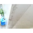 ゲルコート部の小さな欠けあり