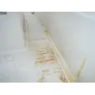 鉄錆びによる色移りが見られます