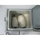 右舷側イケス