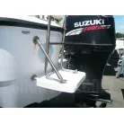 スイミングステップ＆スイミングラダー付き
