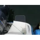 スイミングステップ