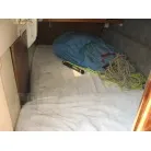 右舷クォーターバース