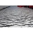 カビや臭いはありません