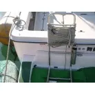 スイミングラダー