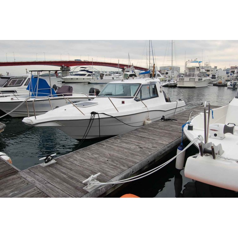 中古品 ダットサイト 国産 RWS N) 8612 名古屋臨海鉄道 ND552形ディーゼル機関車（3号機