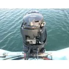 きれいです
