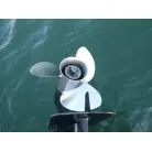 ステンレスペラ