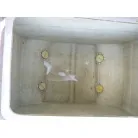 イケス、きれいです