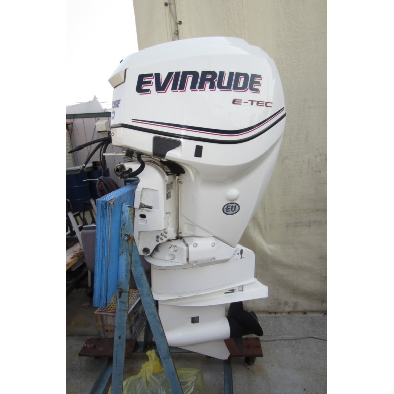 New Evinrude Portable 3.5 HP (E3RG4) Boat Engines in