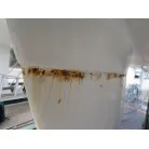 追加写真2017/02/05撮影