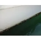 船底の汚れ具合
