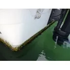 船底の汚れ具合