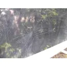 ハルの塗装ヒビです。