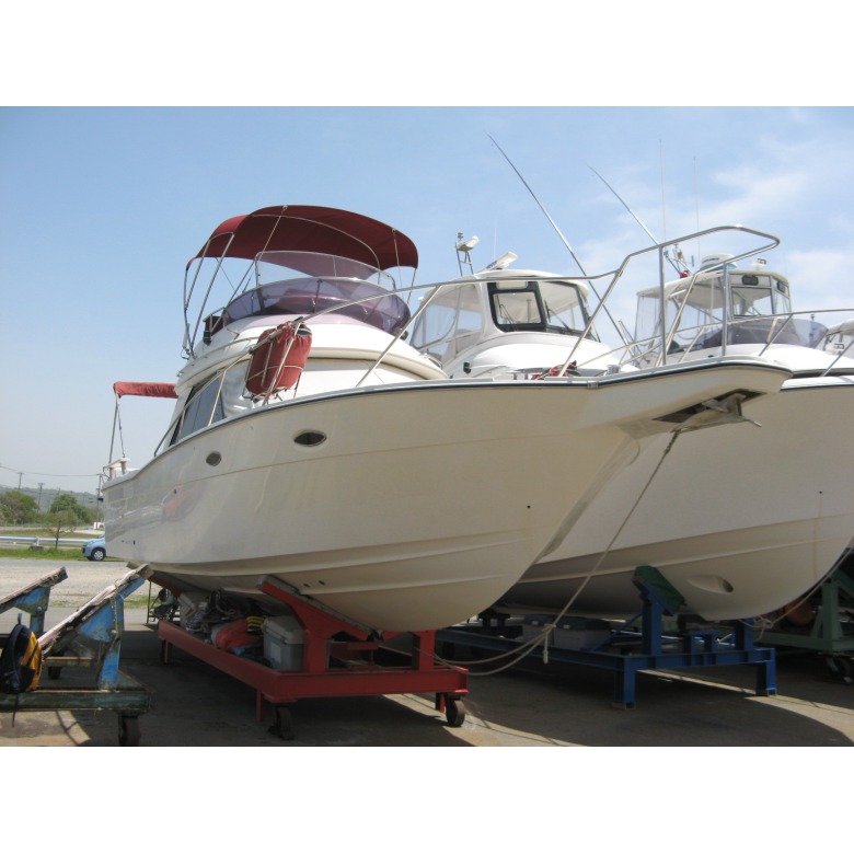 【中古】 大冒険海入門 maxresdefault.jpg