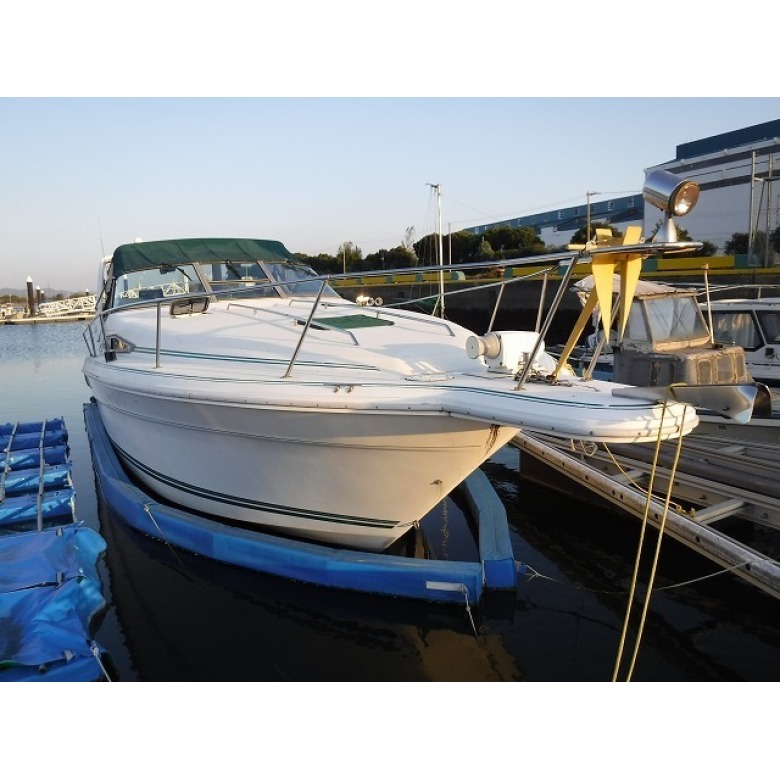 中古ボート シーレイ 31Ft サンダンサー (エンジン 発電機 修理済み)
