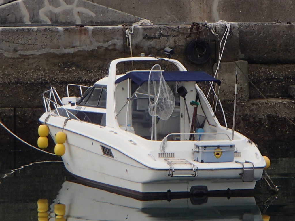 【お気にいる】 ship_11398_0001_0004_1024_1024.jpg 外装品