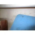左舷側クォーターバース