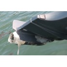 一部破損あり。