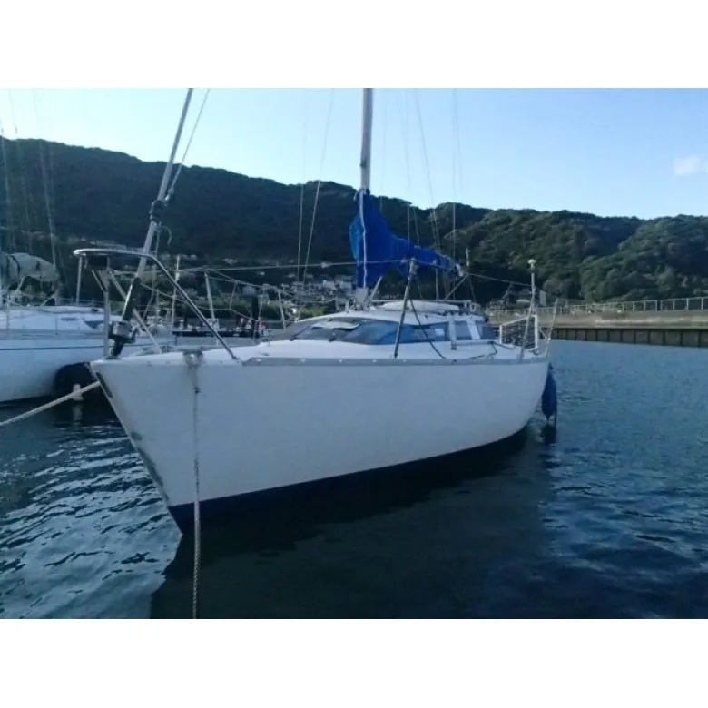 ヤマハ MY LADY 25 EX4-B | 【中古艇ドットコム】 中古ボート