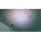 20240418