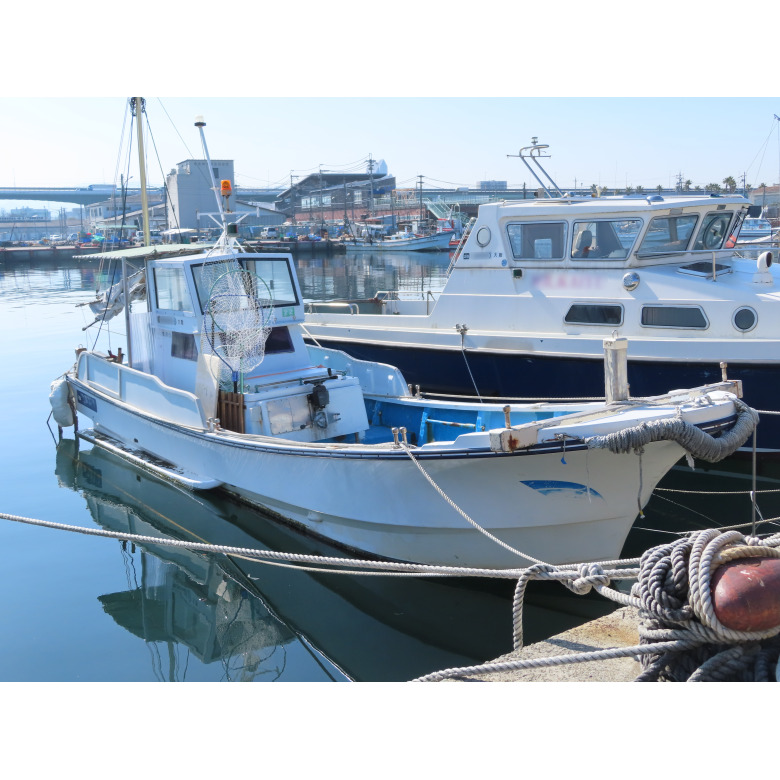 中古 船 30フィート シャフト船 ヤマハ ディーゼル135馬力 プレジャー