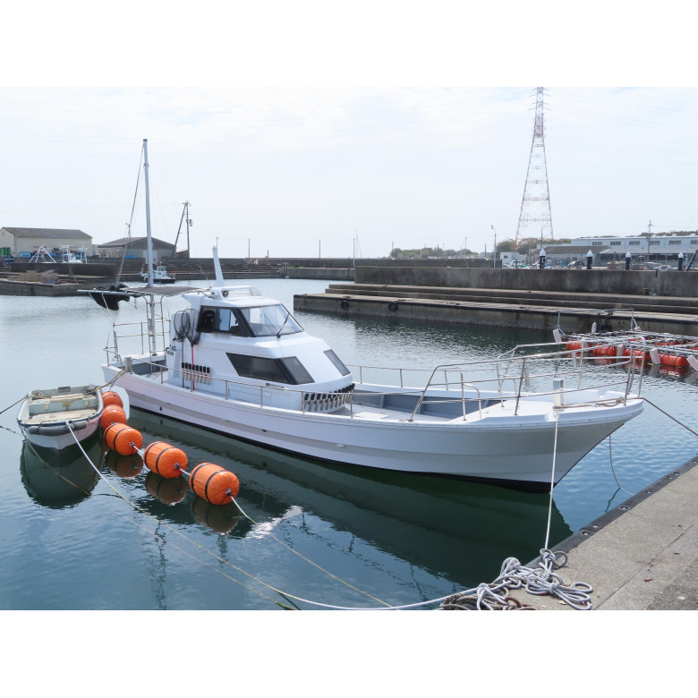 中古 船 30フィート シャフト船 ヤマハ ディーゼル135馬力 プレジャー