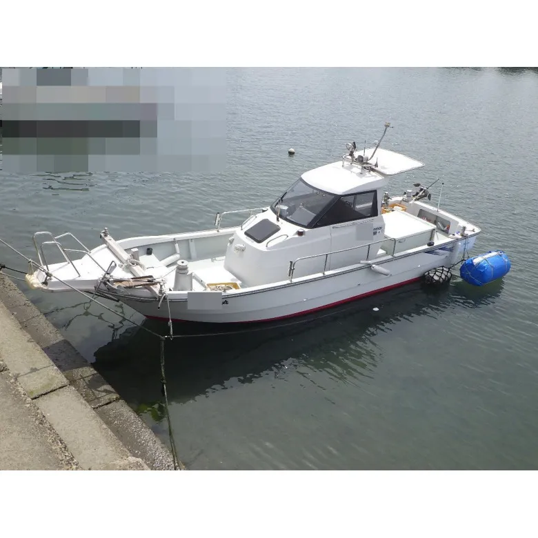 【中古】 不連続変形法（DDA） 不連続変形法(DDA)(大西有三, 佐々木猛, Gen-Hua Shi, 不連続性岩盤