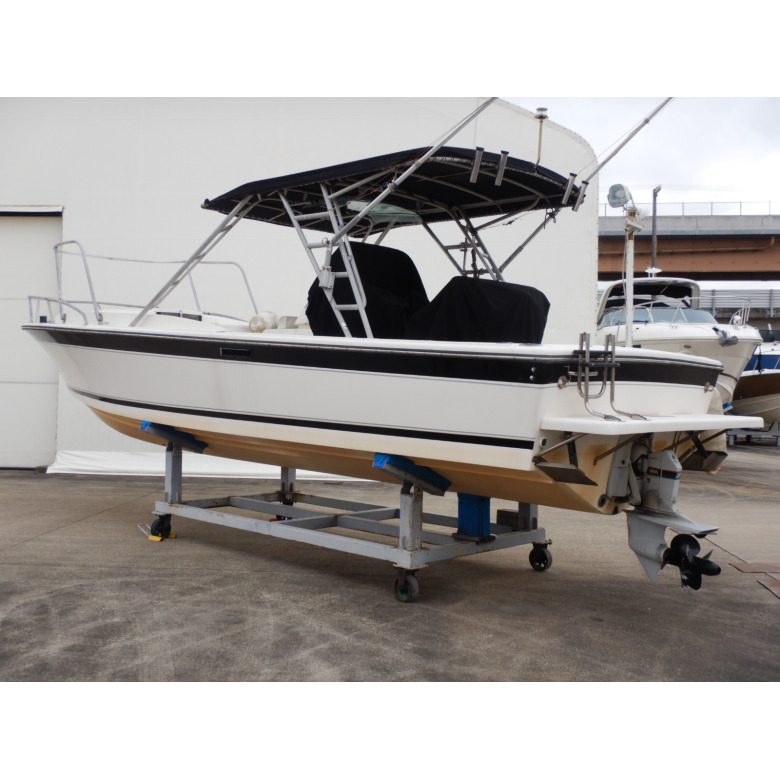 スーパーハワイ イントレピッド30オープンノカディ | 【中古艇ドット