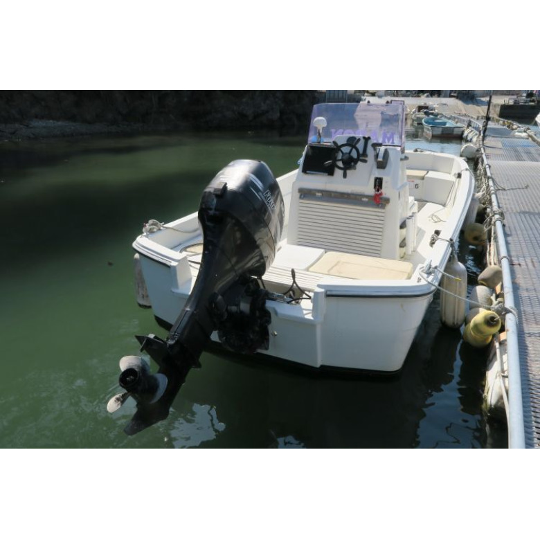 ヤマハ フィッシングメイト20W-20QHS | 【中古艇ドットコム】 中古