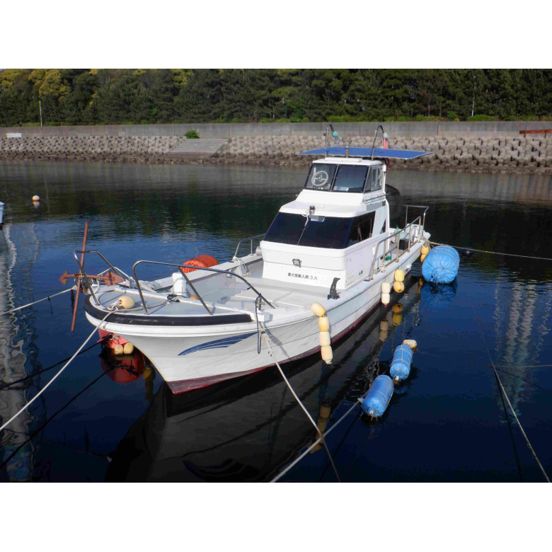 ボート用 船台 ヤマハ ヤンマー ウェイクボード 保管に