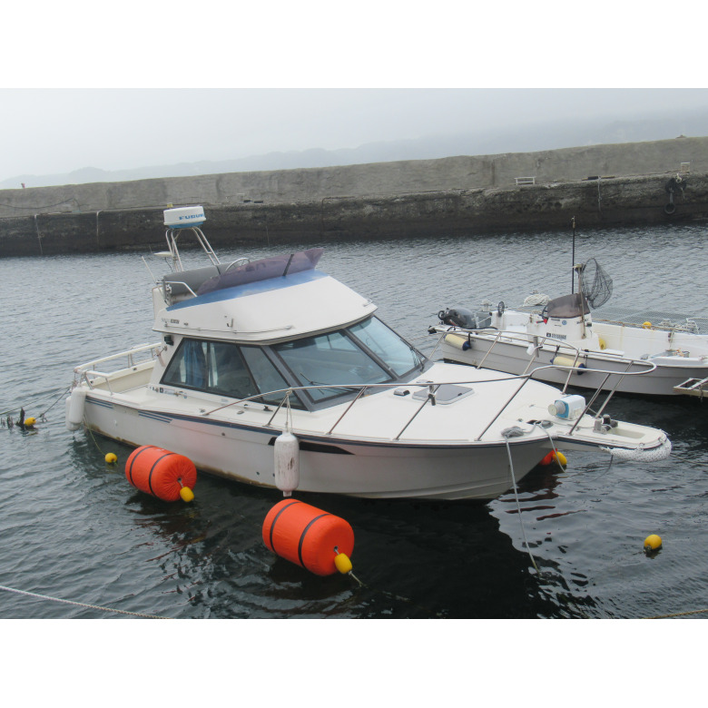 中古　船　30フィート　シャフト船　ヤマハ　ディーゼル135馬力　プレジャーボート 中古 船 30フィート シャフト船 ヤマハ ディーゼル135馬力 プレジャー