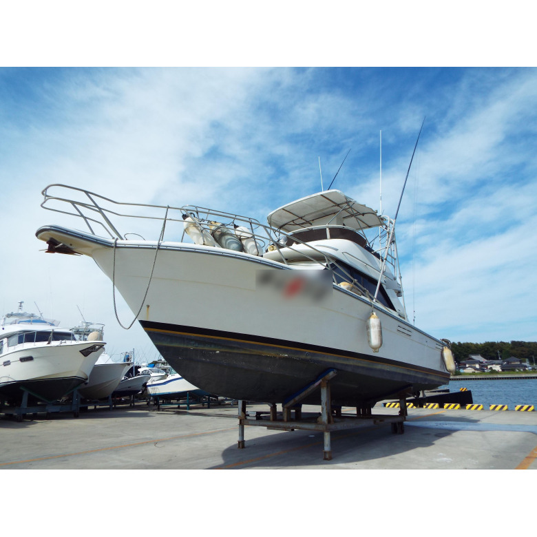 bestfishes　　　中古美品